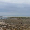 곰섬해수욕장 이미지