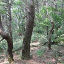 좌운1리 마을회관 이미지