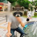 (광주 동명동 여행) 카카오T 바이크 이용후기 (카카오 모빌리티 자전거 공유 서비스)