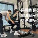 머슬뷰티 이미지