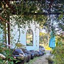 약식동원 다루야 이미지