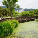 중원-39 Daum카페