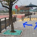 경희대 두산태권도 이미지