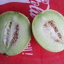 바우농장2 이미지