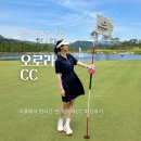 그린원주식회사 | 원주 골프장, 오로라CC 후기! 우려했던 코스 상태 과연?