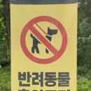 대아수목원 유아숲체험원 이미지