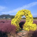 카페키친205