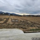 보성읍사무소앞 이미지