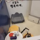 올리스 남양주별내점 | [올리스24 남양주별내점] 24시간 셀프 반려동물 목욕 전문 공간!