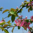 음악상자 이미지