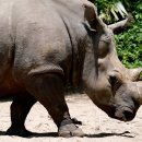 Park's Fitness 이미지