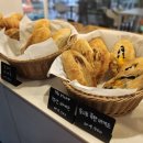 셀세모 광주시 곤지암점 | 라꾸에스타 경기광주 곤지암 대형카페 베이커리 파스타 맛집 후기
