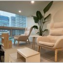 도로시뷰티 이미지