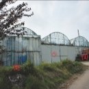 대산읍 충의로 이미지