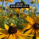 동락원 - 안성시 죽주로 231 | 동락원