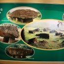 양구선사박물관 이미지