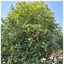 두원농장 이미지