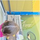 개나리낚시공원 이미지