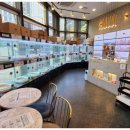 도그마루 이미지