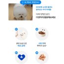 펫라이프 | 강아지 눈 영양제 라이프펫 아이즈 솔직후기 🐕🩵