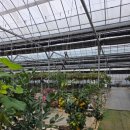 가랑농장 이미지