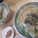 옹가지칼국수