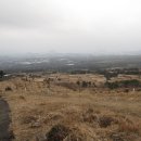 돈내코로 이미지