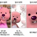 스테이하시니 이미지