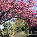 목도경로당 이미지