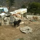 척과농장 이미지