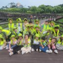 숲앤아이어린이집 | 안성 유앤아이어린이집, 숲체험으로 자연과 친구가 되었어요