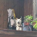 잠시섬 빌리지 이미지