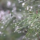 수원-0995 이미지