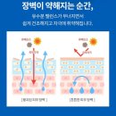 30대 속건조 겨울철 기초 추천 한스킨 판테놀크림 피부장벽