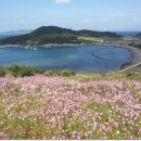 은행나무민박 이미지