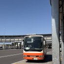 T 호텔 | ✈️7살 아이와 도쿄여행 숙소 추천 | 닌교초 하마초 호텔 솔직후기 (T-CAT 도보 10분)