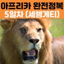 아프리카 탄자니아 여행 5일차 2박 3일 세렝게티 국립공원 투어 마사이 빌리지