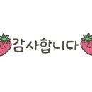 광주보쌈 이미지