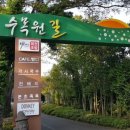 돼지카세차장 이미지