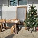 느릅나무민박 이미지