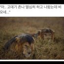공감 이미지