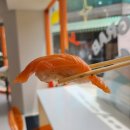 스시그랩(SUSHI GRAB)