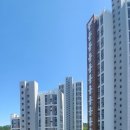 엑스포아파트 버스정류장 이미지