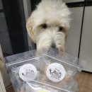 끼리까까 이미지