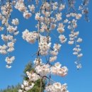 동작역(4) 이미지