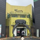 명성로 | 여주 곤충박물관 주말 아이랑 입장료 체험 후기