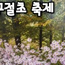 구월산 구월초 축제 이미지