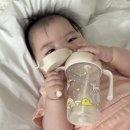 외출준비중 | 외출 준비 간편해지는 모브아빨대컵 추천 리얼 후기