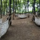 나무고아원 이미지