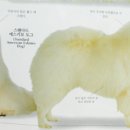 에스키모 Daum카페